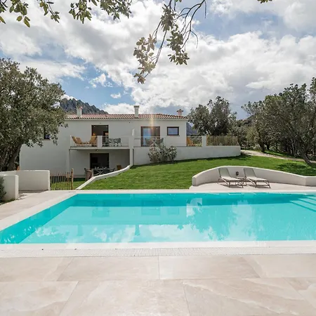 Nuova Di Design Con Piscina Privata San Pantaleo