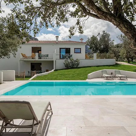 Nuova Di Design Con Piscina Privata Villa San Pantaleo