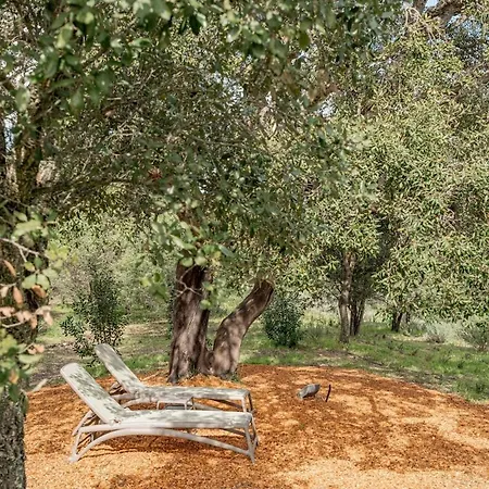 Вилла Nuova Di Design Con Piscina Privata